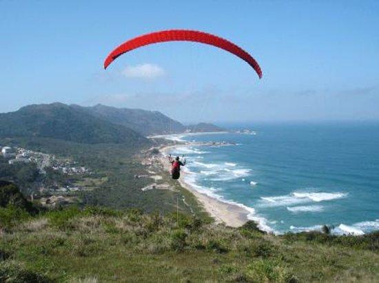 Playa Mole
